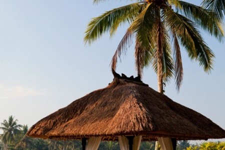 Bali Ubud Viceroy Bali 16 dňový pobyt Plná penzia Letecky Letisko: Viedeň June 2026 ( 5/06/26-20/06/26)