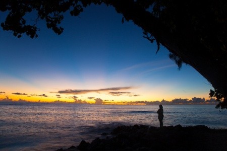 Seychely Praslin Castello Beach 9 dňový pobyt Raňajky Letecky Letisko: Viedeň May 2025 (16/05/25-24/05/25)