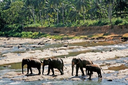 Best of Sri Lanka