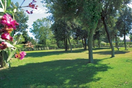 Green Park Resort - 55