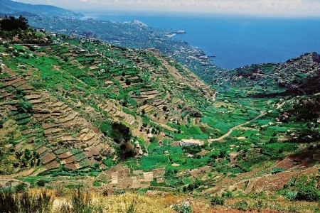 Madeira s hvězdicovými výlety