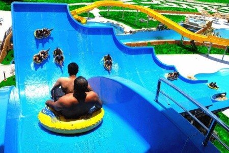 Egypt Hurghada Pickalbatros Jungle Aqua Park By Neverland 8 dňový pobyt All Inclusive Letecky Letisko: Piešťany jún 2023 ( 6/06/23-13/06/23)