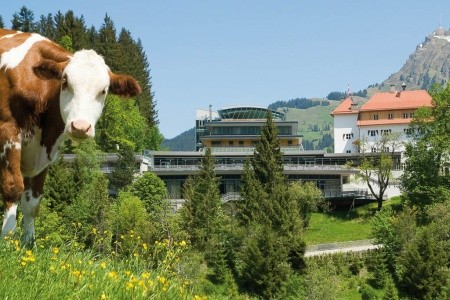 Schloss Lebenberg - 96