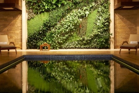 Sofitel Dubai The Palm - 52