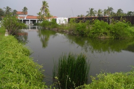 Srí Lanka Negombo Jetwing Lagoon 12 dňový pobyt Plná penzia Letecky Letisko: Praha October 2025 (23/10/25- 3/11/25)