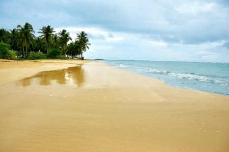 Srí Lanka Trincomalee Amethyst Resort 10 dňový pobyt Raňajky Letecky Letisko: Praha November 2025 (13/11/25-22/11/25)