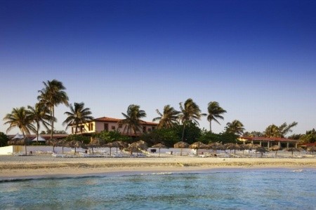 Starfish Cuatro Palmas - 11