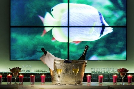 Pullman Cannes Mandelieu Royal Casino - 56