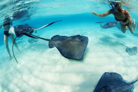 Occidental Xcaret Destination - 5