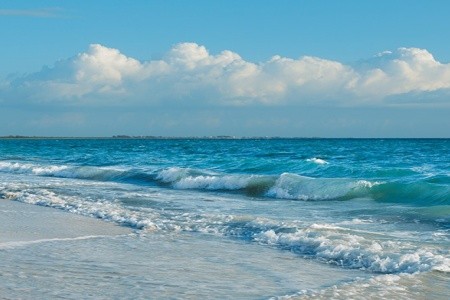 Secrets Playa Mujeres Golf & Spa Resort - 24