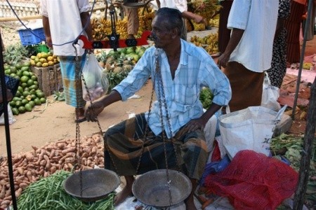 Lavendish Beach Resort