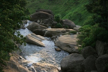 Citrus Waskaduwa - 4