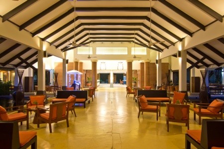 Sunshine Garden - 72