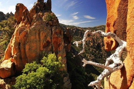 Divoká Korsika - perla Středomoří - 22