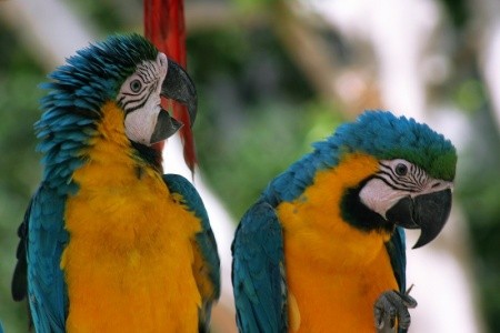 Bahia Principe Grand Turquesa - 6