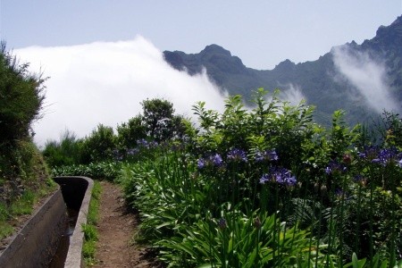 Exotická Madeira - květinová a turistická