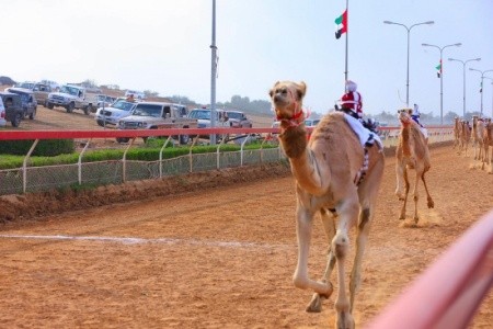 Spojené arabské emiráty Abu Dhabi Shangri-La Hotel Qaryat Al Beri 8 dňový pobyt Polpenzia Letecky Letisko: Praha February 2025 (19/02/25-26/02/25)