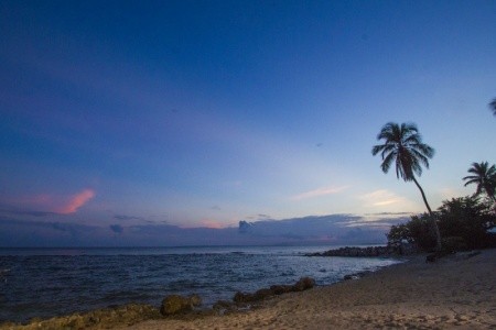 Catalonia Royal La Romana - 16