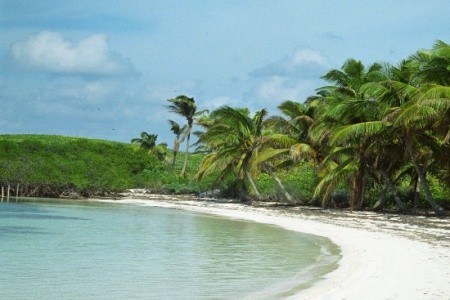 Mexiko Cancún The Westin Resort And Spa Cancún 9 dňový pobyt Bez stravy Letecky Letisko: Praha January 2026 (27/01/26- 4/02/26)