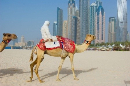 Spojené arabské emiráty Dubaj Hilton Garden Inn Dubai Jumeirah 8 dňový pobyt Polpenzia Letecky Letisko: Praha February 2026 ( 7/02/26-14/02/26)