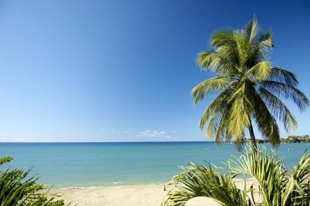 Turtle Beach Hotel, Tobago, Butterfly Beach Hotel, Oistins