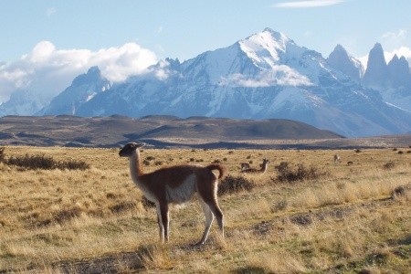 Najlepšie z Chile - 12