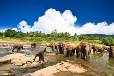 Srí Lanka Negombo Full Moon Garden 10 dňový pobyt Raňajky Letecky Letisko: Praha October 2025 (13/10/25-22/10/25)