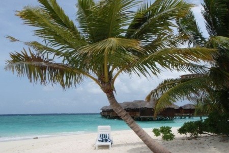 Fihalhohi Island Resort - 10