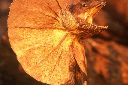 Najlepšie z Austrálie a Oceánie - 9