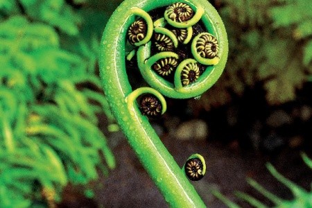 Najlepšie z Austrálie a Oceánie - 21