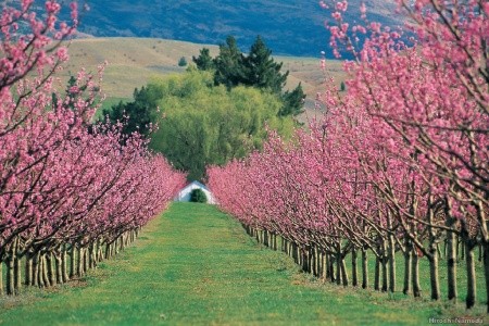 Najlepšie z Austrálie a Oceánie - 23