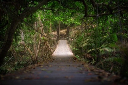 Národné parky Thajska s pobytom pri mori - 7