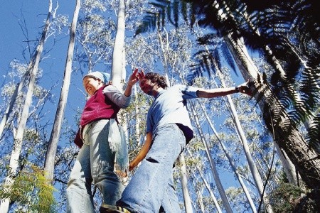 Austrália: Golden Triangle - 13