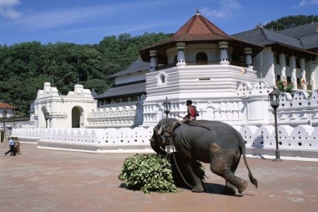 17407136 - Srí Lanka vás vítá s otevřenou náručí