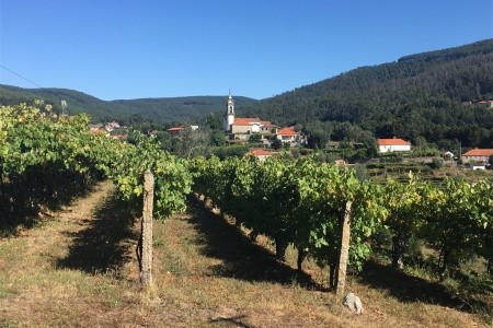 Svatojakubská pouť 3 - portugalská cesta z Porta do Santiaga de Compostela - 11