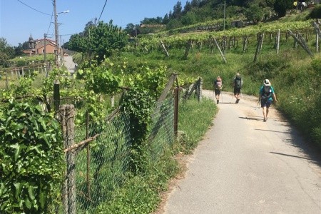 Svatojakubská pouť 3 - portugalská cesta z Porta do Santiaga de Compostela - 12