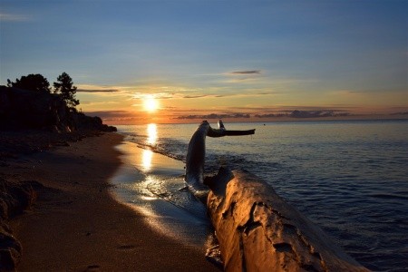 Divoká Korsika - perla Středomoří - 37