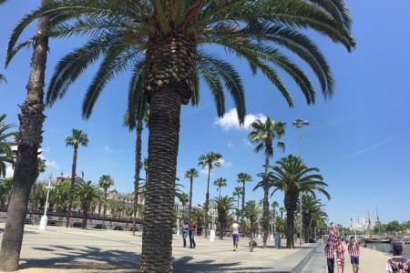 Barcelona letecky - 10