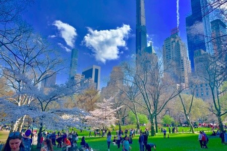 New York pro náročné