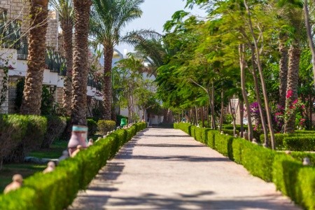 Egypt Hurghada Aladdin Beach Resort 8 dňový pobyt All Inclusive Letecky Letisko: Bratislava júl 2022 (26/07/22- 2/08/22)