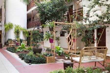 Tui Suneo Tamaimo Tropical - 7