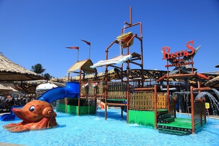 Cactus Fleur Beach - 64