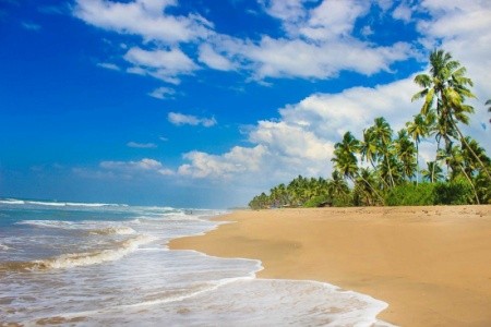 Srí Lanka, , Green Shadows Beach (Kalutara)
