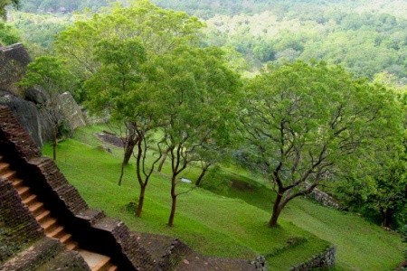 Srí Lanka  Sigiriya Village (Sigiriya) 12 dňový pobyt Raňajky Letecky Letisko: Praha February 2025 (23/02/25- 6/03/25)