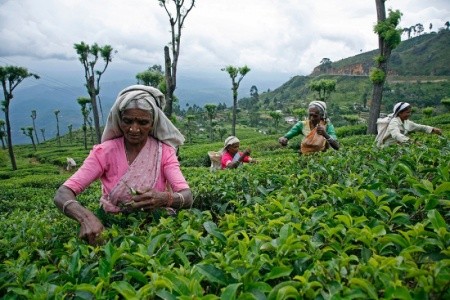 Srí Lanka Kalutara Turyaa Kalutara (Ex.