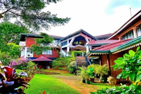 Tree Of Life (Kandy)