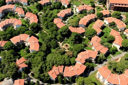 Papillon Belvil - 46