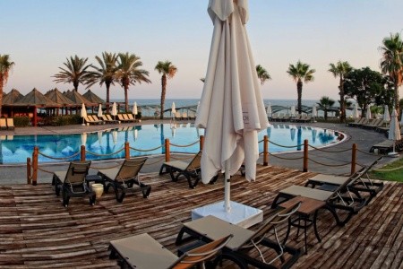 Papillon Belvil - 47