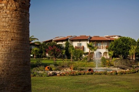 Papillon Belvil - 51