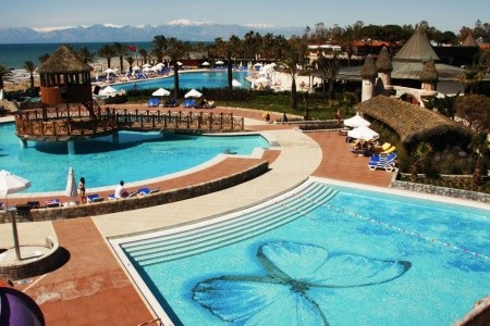 Papillon Belvil - 52